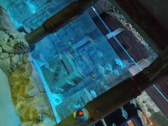 -沈阳海洋探索中心