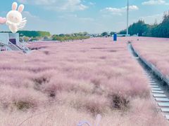 -嘉北郊野公园
