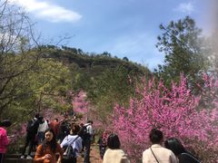 -天台山赤城山景区