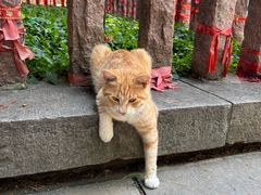 -四门塔风景区