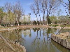 -莲花池公园