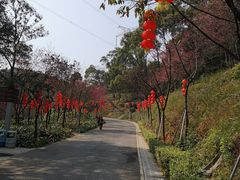 景点-广州市帽峰山景区