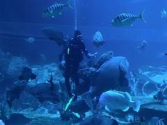 -珠海长隆海洋王国