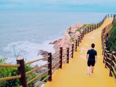 -广东惠东海龟国家级自然保护区