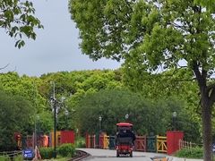 -上海都市菜园