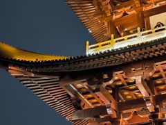 -杜甫江阁