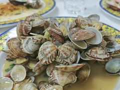 辣炒蛤蜊-胖子饺子馆·海鲜家常菜(海军博物馆店)