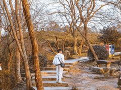 -方山风景区定林寺