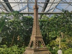 -南宫五洲植物乐园