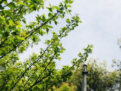 -葛记焖饼(伏牛路店)