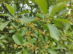 -中国移动南方基地