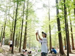 -白水寺森林公园