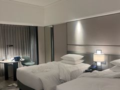 -新加坡乌节希尔顿酒店 (SG Clean)