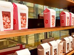 -Laderach 莱德拉(上海环贸iapm店)