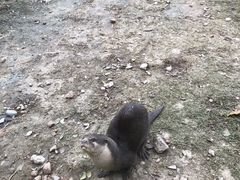 -黄龙溪欢乐田园
