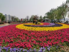 -咸阳湖景区