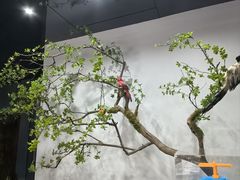 -隐厨·海鲜餐厅(恒通路店)