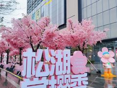 -东莞松山湖万象汇