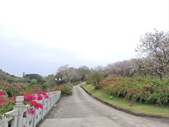 -广州莲花山旅游区