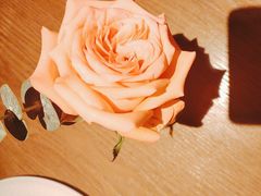 -佐度王子扒房(爱建卓展店)