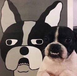 -Single·会社美甲美睫