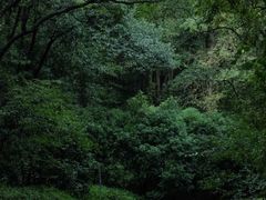 -虎跑公园