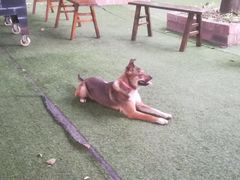 -集翠园生态农庄(木兰店)