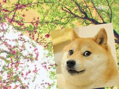 -秀丽东方