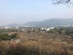 -太湖湖滨国家湿地公园-停车场