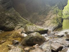 -牛背梁国家森林公园