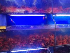 -虾铺子龙虾·私房菜(金源花苑店)