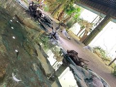 -北海海底世界
