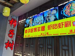 -柿子树炭烤羊腿(金台路店)