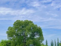 -良渚古城遗址公园
