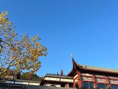 -楼外楼(西湖景区孤山路店)