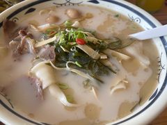-白羊坡