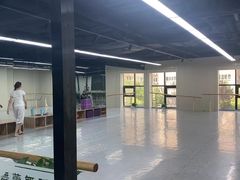 -舞蕾舞蹈(特长生校区)