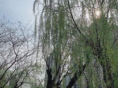 -苏州河梦清园环保主题公园