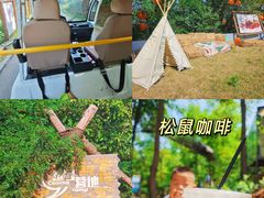 -欢乐松鼠谷