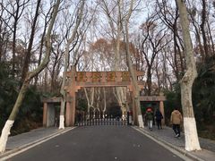 -灵谷景区