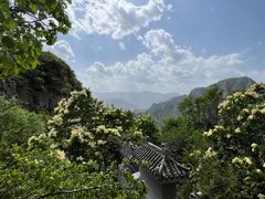 -圣莲山风景区