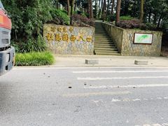 -铁山坪森林公园