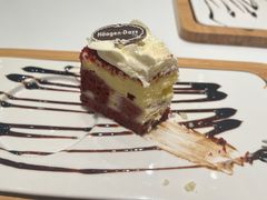 -哈根达斯(龙湖时代天街店)
