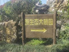-南汇桃花村