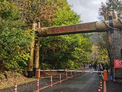 -五女峰国家森林公园