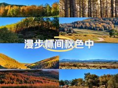 -塞罕坝国家级自然保护区