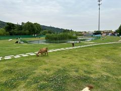 -苏州上方山国家森林公园