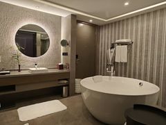 -南京禄口机场雅高铂尔曼大酒店