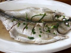 -灶头屋里