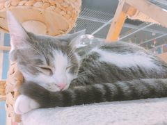 -小时光咖啡馆(开森度假森林店)